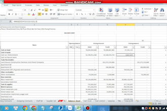 create an automated excel tracker for daily income and expenses