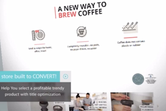 build and design a high converting shopify dropshipping store for passive income