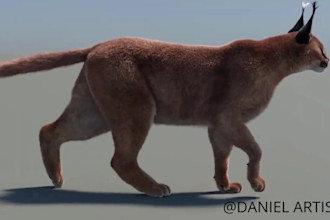 do 3d animal model , 3d model, character modelling ,3d cute , 3d animal rigging