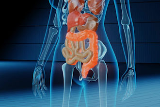 develop premium 3d medical animations