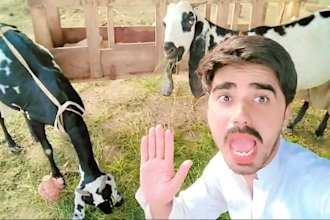 create happy birthday funny video with my goats in just 24 hours
