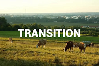 do video editing, video manipulation, retouching, chroma keying, visual effects