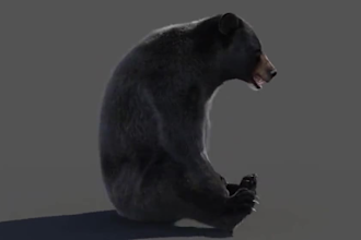 integrate realistic cgi animal model, xgen fur, 3d animal rigging, xgen hair