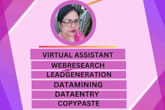 be your virtual assistant for web research and data entry