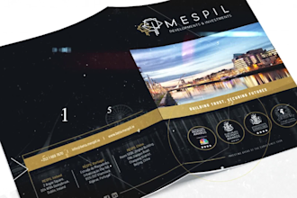 design a professional flyer, brochure, poster for your business