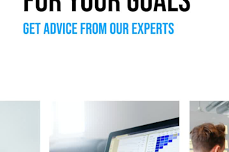 provide wordpress development services