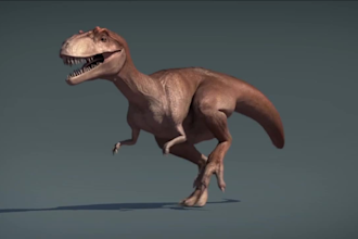 do 3d animation on time