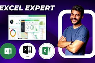 work for microsoft excel, pivot table, spreadsheets, vba, vlookup, dashboard