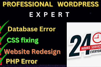fix wordpress issues, wordpress bug fix, fix wordpress errors, CSS help