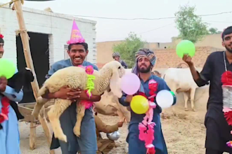 make african funny african happy birthday video or funny happy birthday video