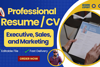 write a professional sales and marketing executive resume that gets you hired