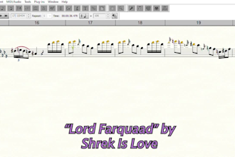 write sheet music of any song you want or need
