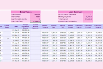 provide an editable loan amortization with irregular dates and payments of yours