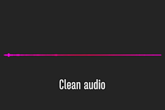 audio editing, cleaning, and noise reduction to perfection