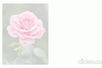 do background removal, resize, crop, and transparent pic within 24h