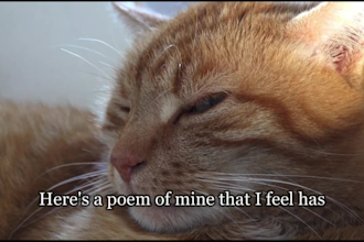 write a custom rhyming poem for you or your loved one