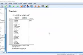 run any business statistical analysis using spss excel, etc