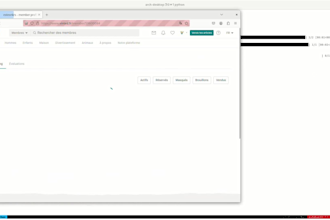 build a vinted scraping bot and vinted automation tools