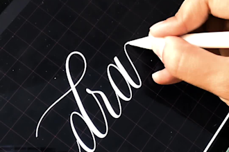 Big Deals!  write anything in digital calligraphy on procreate