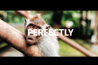 do professional  travel, promo, dropshipping product  video editing in 24 hours