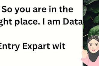 do fast and accurate data entry, web research work