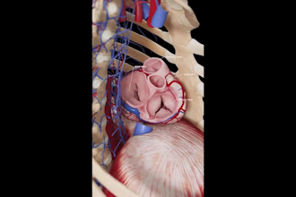medical animation 3d medical animation medical explainer video 3d dental video