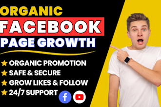 organically promote your facebook page for fast following growth