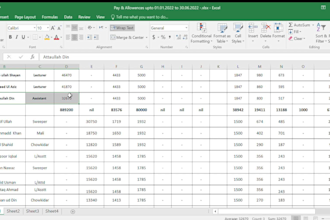 do big data entry and microsoft all software expert