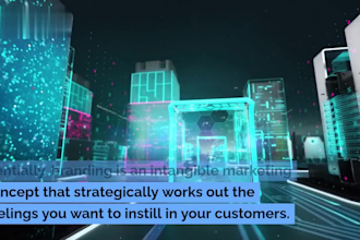 develop the marketing and branding strategy for your brand