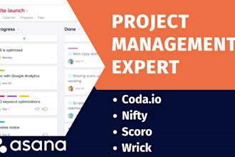 customize coda, asana, nifty, smartsheet scoro wrike workspace for your business