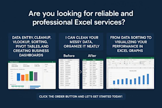 be your expert data entry clerk for vlookup, data cleanup, sorting, excel graph
