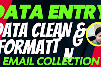 do data entry, cleaning, formatting, retyping and copy paste
