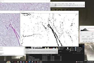 perform image processing and quantitative analysis on images in imagej python