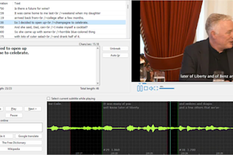 add english subtitle to make it professional file