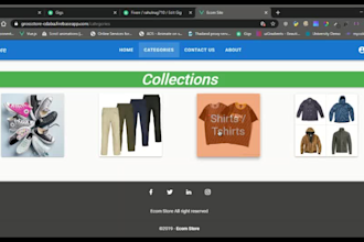 build website web application with vue,react,axios,mongo etc