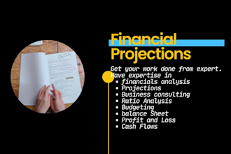 prepare balance sheet , profit and loss and income statement