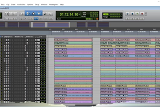 mix and master choir songs with many vocal tracks