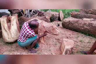 create beautiful wood design items in your requirement