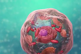 teach cell biology from basics to advance level
