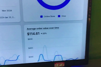 manage your shopify dropshipping store product research  audit