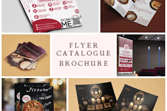 design custom business flyers or brochures with fast delivery