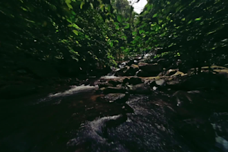 edit your travel and memories