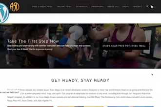 design for you a modern, responsive blog on wordpress