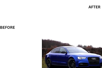 do professional background removal