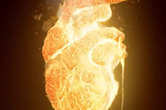 do realistic fire, smoke simulation, fire explosion, vfx fire explosion,