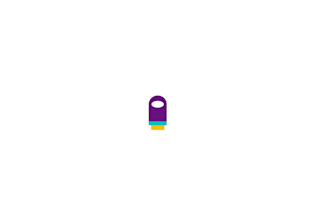 create a custom logo animation intro