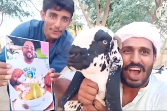 do happy fathers day video or happy birthday video