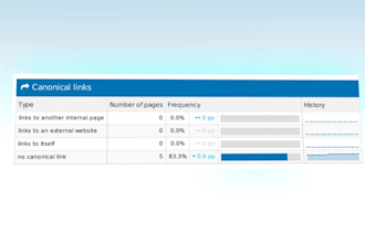 do website audit and create SEO action plan