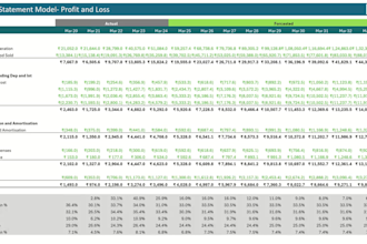 perform company valuation with dcf and relative valuation