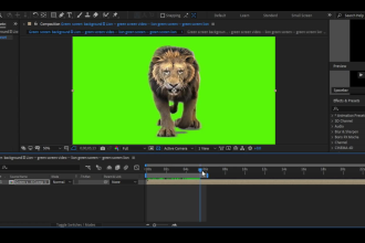 do rotoscoping , green screen remove, wire removal